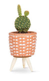 Woven Tripod Planter - Small