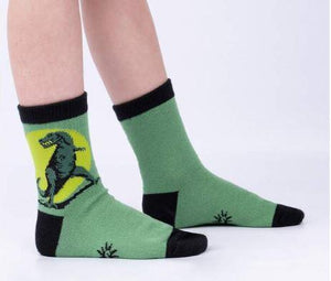 Dinosaur Days Kids Socks - Set of 3