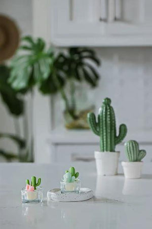 Cactus & Succulent Tealight Candle
