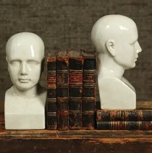 Phrenology Head Ceramic Decor