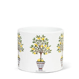 Lemon Tree Small Planter