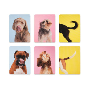 Teach Yourself Dog Memory Game