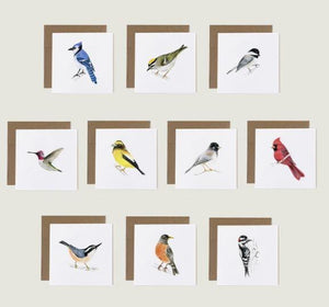 Garden Birds Greeting Card Set of 10