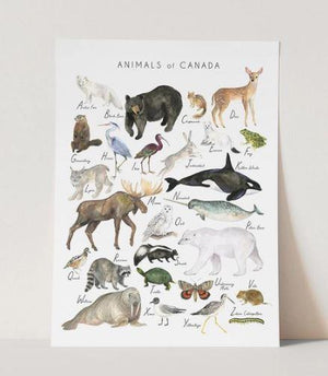 Animals of Canada Art Print