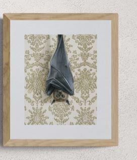Flying Fox Bat Print 8 x 10