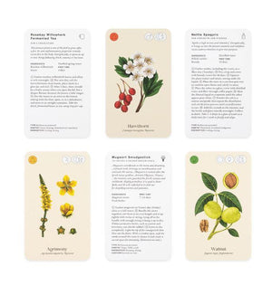 Wild Alchemy Lab: Astro-Botanical Remedy Deck