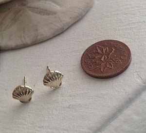 Seashell Stud Earrings Gold