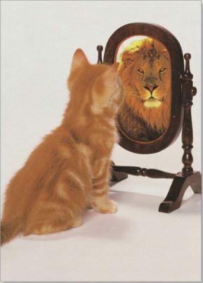 Cat with Lion reflection - Greetings Card