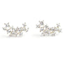 Stardust Ear Climber Earrings