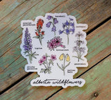 Alberta Wildflowers - Sticker