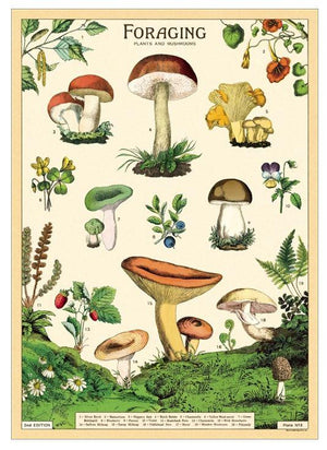 Forage Poster - 20" x 28"