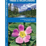 Alberta Trees & Wildflowers: A Folding Pocket Guide to Familiar Plants