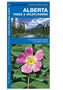 Alberta Trees & Wildflowers: A Folding Pocket Guide to Familiar Plants
