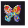 Butterfly Card