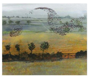 Starlings Over Pasture - Card