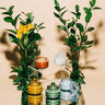 Cactus Flower Glass Candle