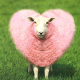 Heart Sheep Card 