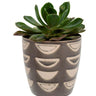Luna Planter