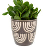 Arches Planter