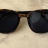 Patricia Sunglasses in Tortoise Shell