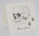 Natural History Skull Stud Earrings - Sterling Silver