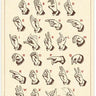 Sign Language Poster