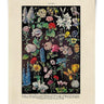 Fleurs 2 Vintage Botanical Print - 11"x14"