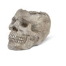 Skull Planter