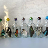 Butterfly Wing Bottle