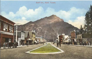 Vintage Banff Avenue Postcard