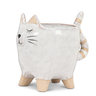 Cat Planter
