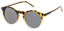 Tortoise & Clear Cade Cod Sunglasses