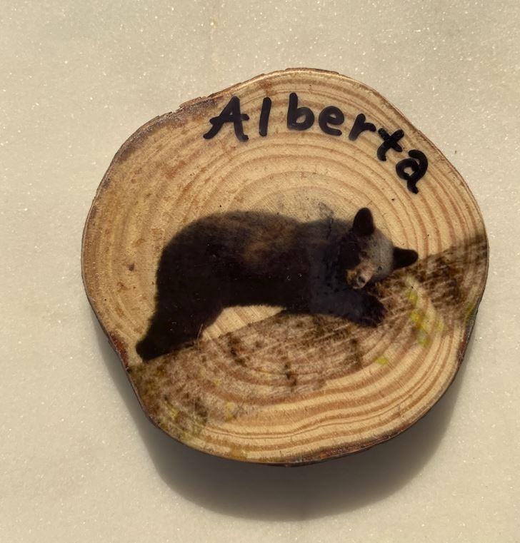 Alberta Black Bear Magnet