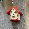 Ladybug House