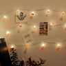 Mushroom LED Spring Lights