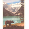 Lake Louise Black Bear Postcard