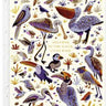 Little Baby Bird Card