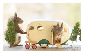 squirrel wedding card, marriage is an adventure. Enjoy it. Congratulations from the both of us