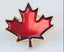Red Maple Leaf Pin