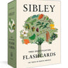 Sibley Tree Identification Flashcards