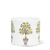 Lemon Tree Small Planter