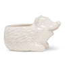 Happy Hedgehog Planter