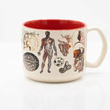 Vascular Anatomy Ceramic Mug