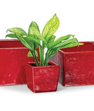 Red Square Planter