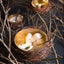 Gold Leaf Metal Birds Nest