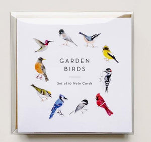 Garden Birds Greeting Card Set of 10