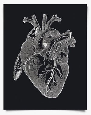 Vintage Heart Diagram Print 11x14