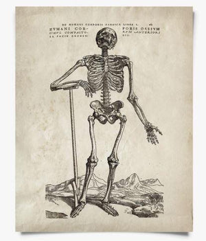 Vintage Skeleton Print 8x10