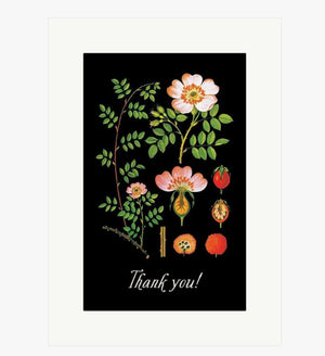 Thank You Card