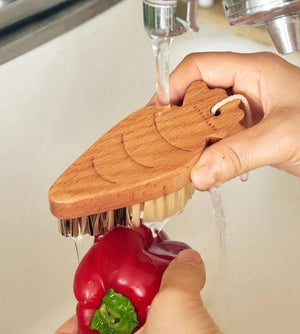 Vegetable Scrubber